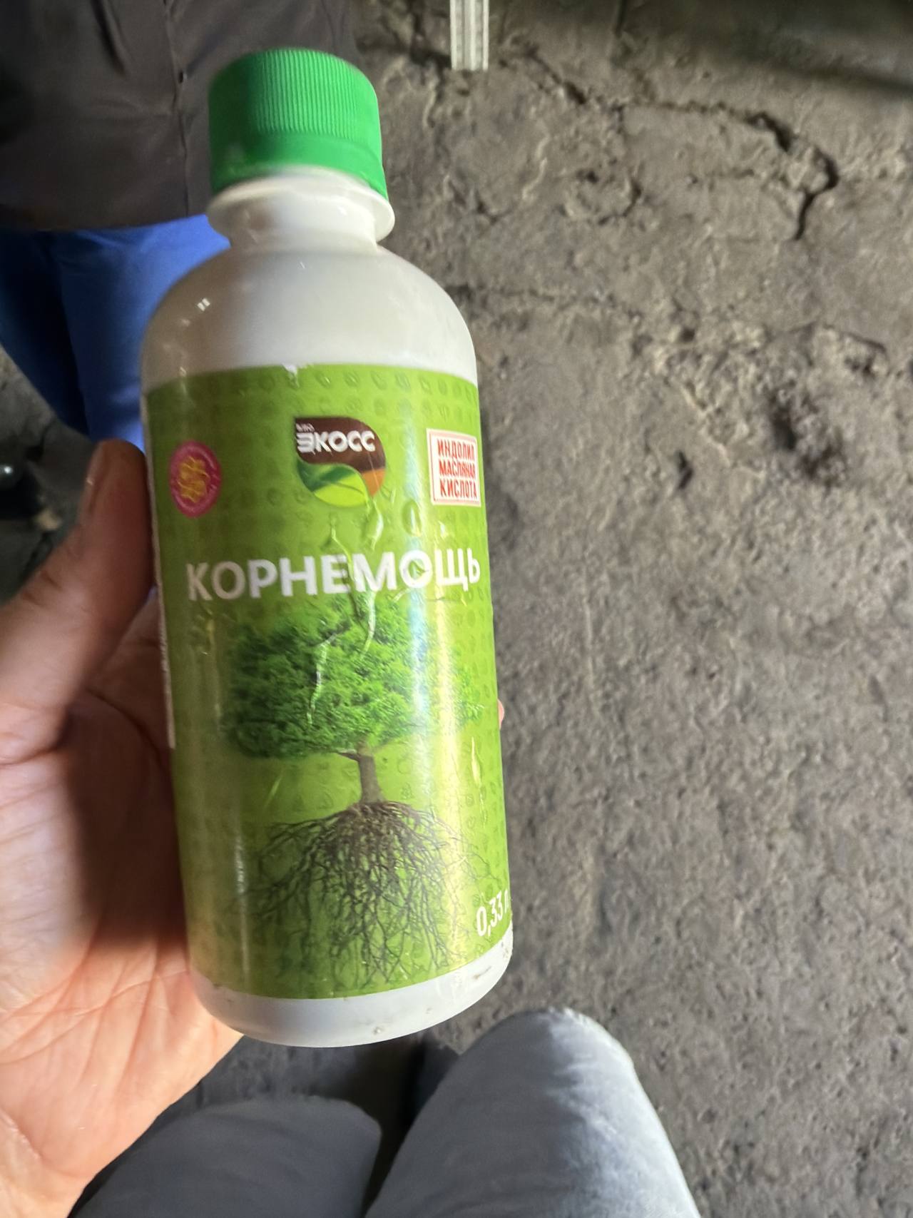 Корнемощь
